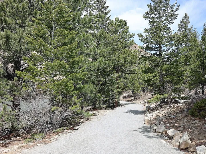 The gravel Tom Bennhoff Lake Trail curving between pines and boulders, with Georgetown Lake glimpsed through the trees at left, in May 2024